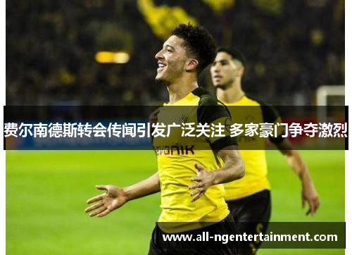 费尔南德斯转会传闻引发广泛关注 多家豪门争夺激烈 费尔南德斯转会传闻引发广泛关注 多家豪门争夺激烈