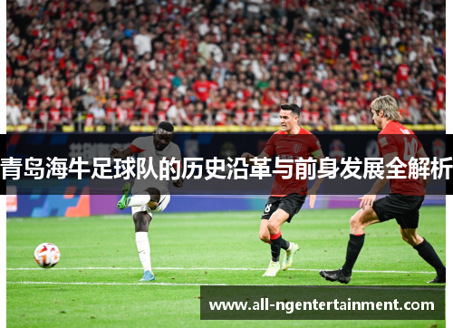 青岛海牛足球队的历史沿革与前身发展全解析